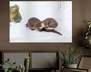 Otters by Aalt van Tongeren