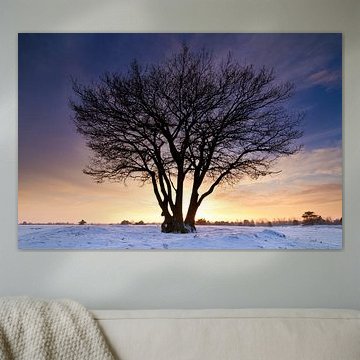 Aekingerzand van robert wierenga