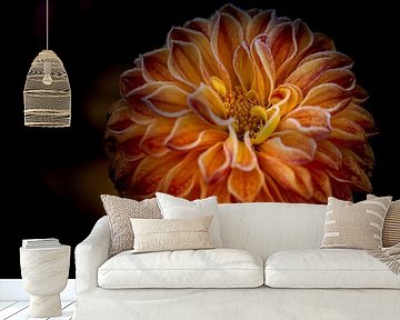 Frozen by Christl Deckx