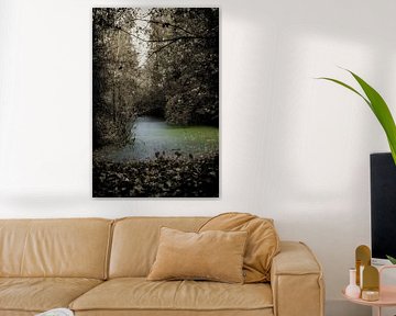 Cercle de vie sur Jan van der Knaap