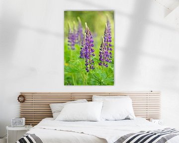 Purple flowers against a green background. by Jan Jacob Alers