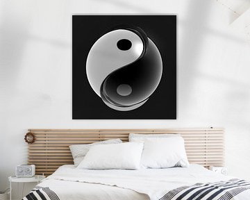 Yin-Yang Ball 2 van Jörg Hausmann