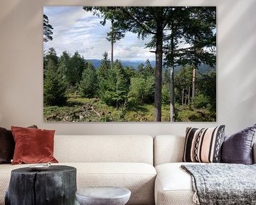 Blick auf die Berge durch den Wald von Madelief Dekker