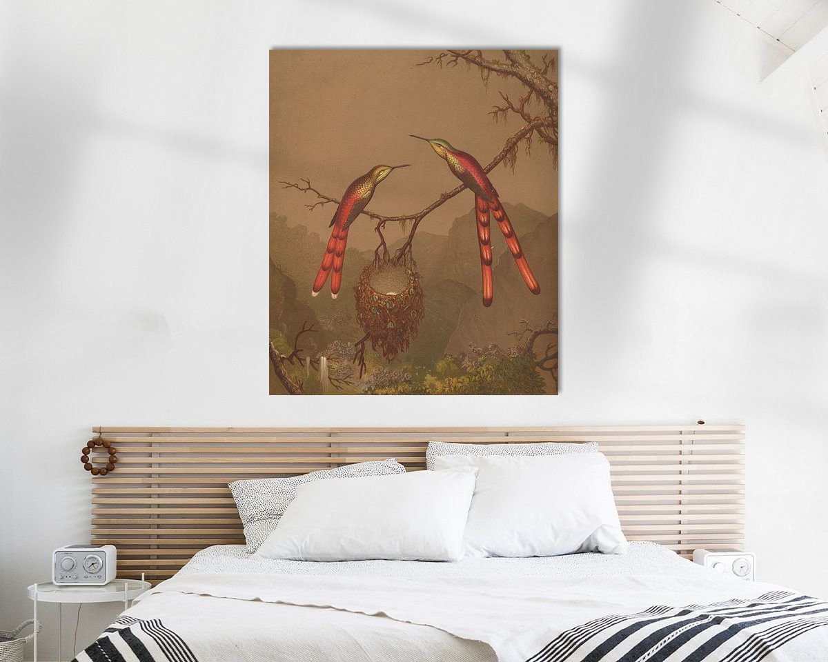 Aperçu de la chambre