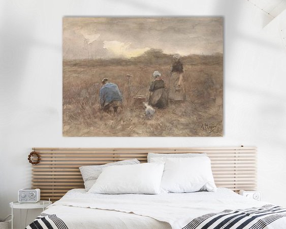 Aperçu de la chambre