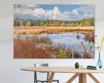 herfstkleuren in het bos van eric van der eijk