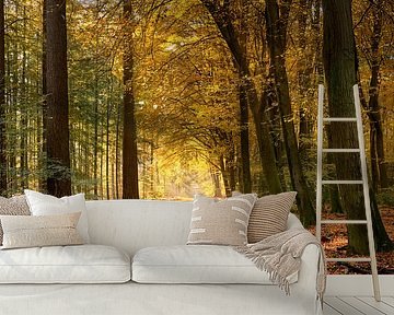 Bunter Waldweg im Herbst von Cor de Hamer