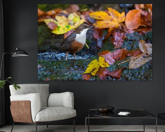 Voorbeeld van het werk in een kamer