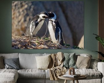 penguins by Dennis Eckert