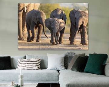 African elephant family by Dennis Eckert