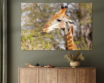 African Giraffe by Dennis Eckert