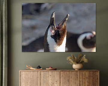 Singender Pinguin von Dennis Eckert