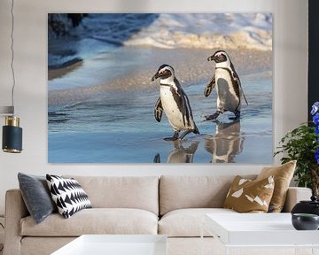 Wilde Pinguine von Dennis Eckert