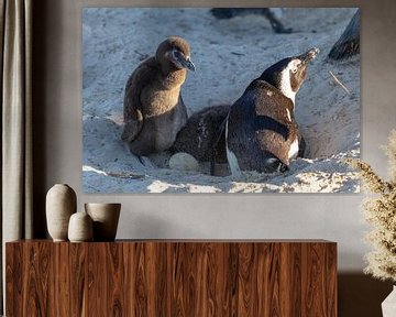 Penguin Family by Dennis Eckert