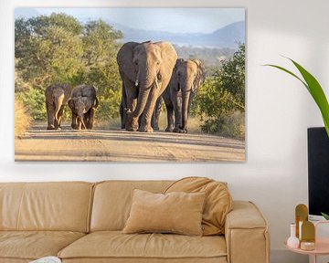 Olifanten familie roadtrip in Kruger National Park van Dennis Eckert