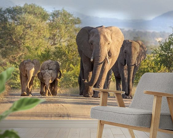 Aperçu de la chambre