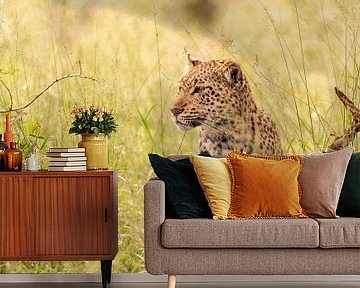 Afrikanischer Leopard von Dennis Eckert