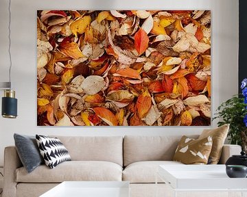 Beukenbladeren, warme herfst kleuren van Sara in t Veld Fotografie