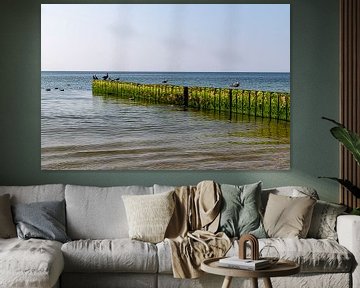 Podium met meeuwen op het strand bij Kampen van Alexander Wolff