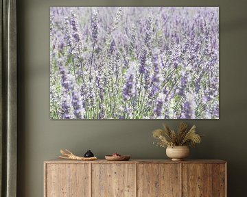Lavender softness by Ellinor Creation