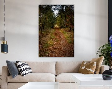 Sentier forestier en automne sur Carla van Zomeren