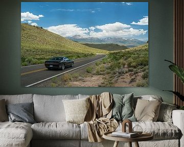 Driving the American dream
