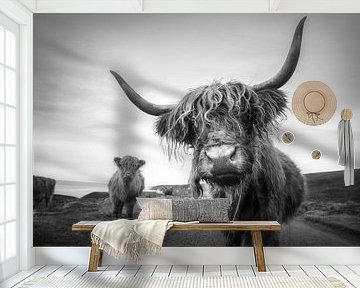Scottish Highlanders by Tim Kreike