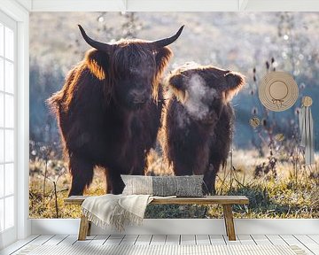 Schottische Highlander im Amsterdamer Wald von Photography by Cynthia Frankvoort