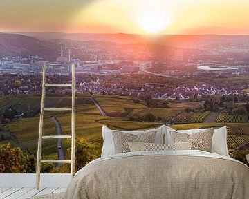 Vineyards in Stuttgart by Werner Dieterich