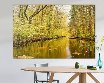Spiegelung im Gewässerwald von Frans Blok