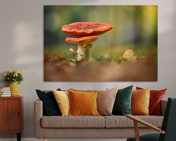 Aperçu de la chambre