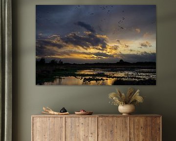 Sunset Haaksbergerveen with geese. by Laurents ten Voorde