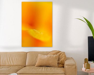orange flower by Drie Bloemen Gallery