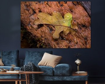 Herbstblatt mit Wassertropfen von Moetwil en van Dijk - Fotografie