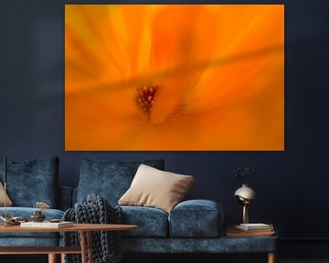 fire flower by Drie Bloemen Gallery