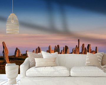 Stone circle of Calanais, Scotland by Adelheid Smitt