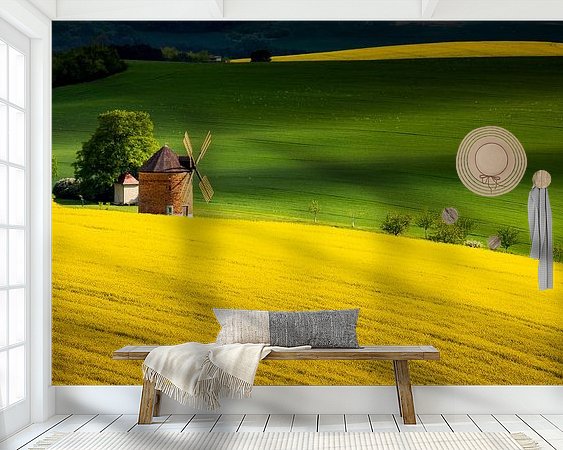 Aperçu de la chambre