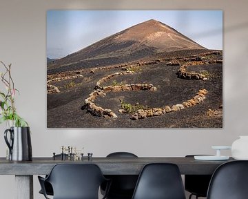 La région viticole de Lanzarote | Paysage | Photographie de voyage sur Daan Duvillier | Dsquared Photography