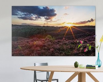 Sunset over the purple heather on the couch by Moo pix