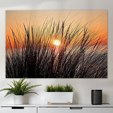 Above the sea setting sun taken by some reed stems