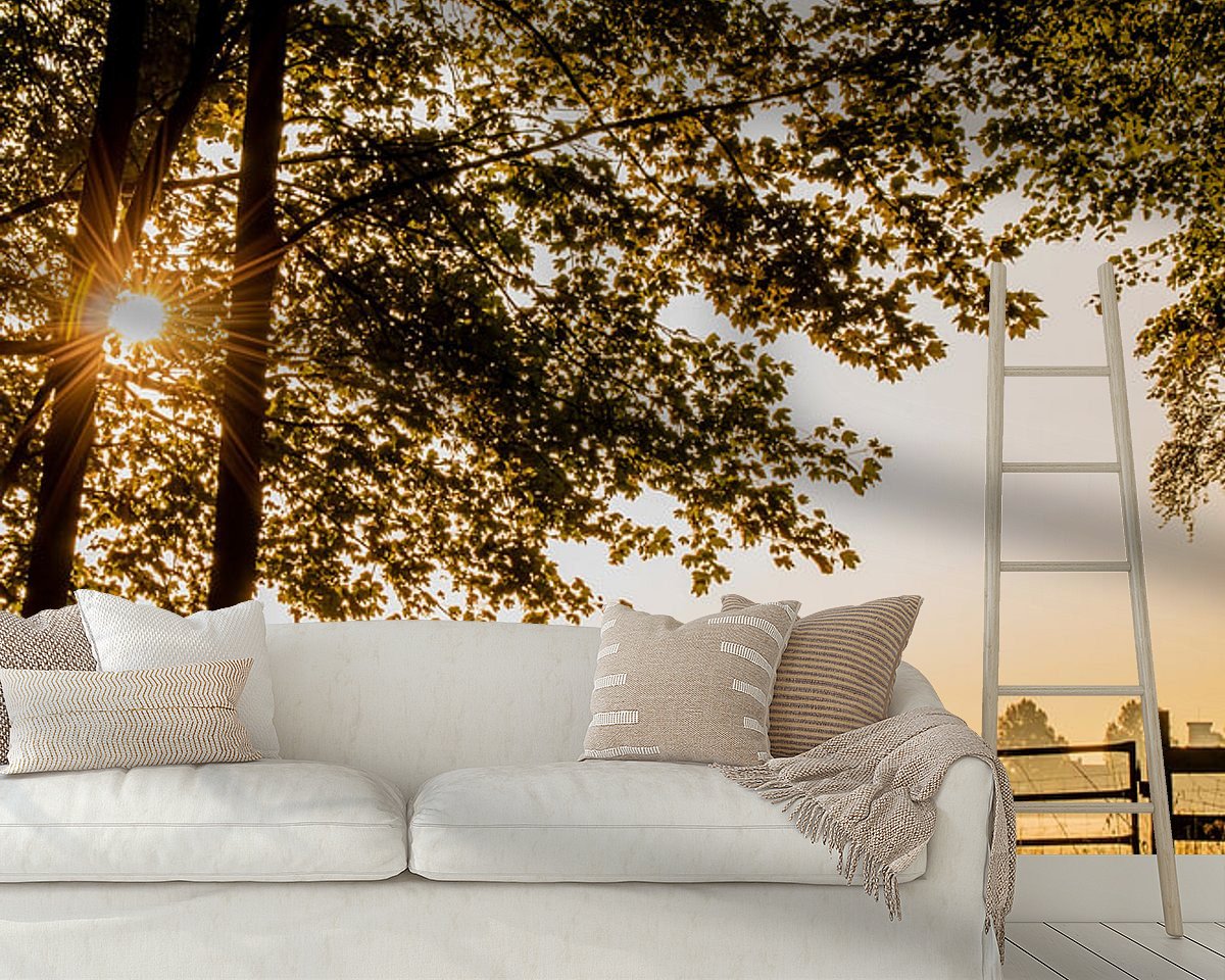 Raumvorschau