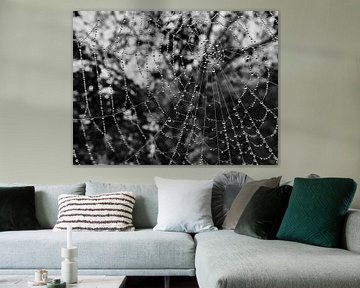Spinnenweb met waterdruppels van Christian Mueller