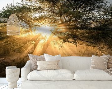 Staubige Sonnenstrahlen