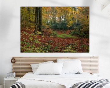 Forêt aux couleurs de l'automne sur Gert Hilbink