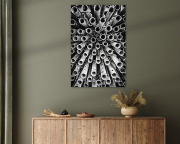 Scaffolding tubes in black and white by Rob van der Teen