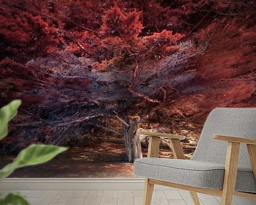 Picturesque cypress tree by Rob Visser