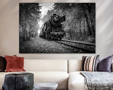 Autumn Train in Black and White by Raymond Voskamp