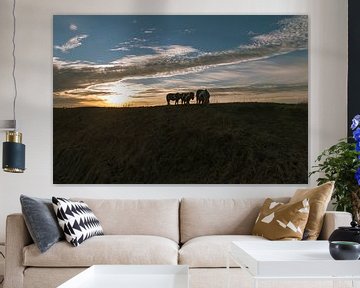 horses sunset von jada fotografie