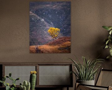Der kleine gelbe Baum von Ton Drijfhamer