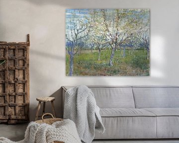 Obstgarten mit blühenden Aprikosenbäumen, Vincent van Gogh